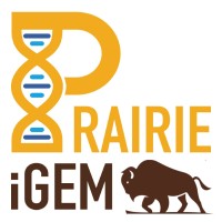 UManitoba Prairie iGEM logo - Similar company to Umanitoba Sae