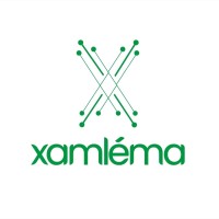 Xamlema logo - Similar company to A.T Creative