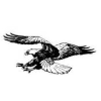 Flying Eagle Services
