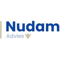 Nudam Advies logo - Similar company to Datricon Technologies