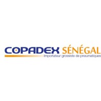 COPADEX SENEGAL-MICHELIN logo - Similar company to Copadex