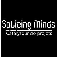 Splicing Minds logo - Similar company to Itavi Formation