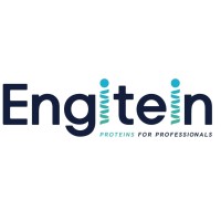 ENGITEIN logo - Similar company to Elroilab