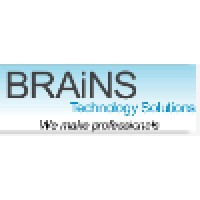 Brains Technology Solutions logo - Similar company to Arktek It Solutions Llc
