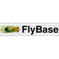 FlyBase logo - Similar company to Flytbase