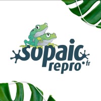 Sopaic Repro logo - Similar company to Comsea