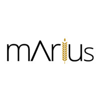 Marius Software ERP Harineras logo - Similar company to Organic Extra Virgin Olive Oil  Molino Del Aire, Early Harvest