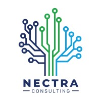 Nectra Consulting logo - Similar company to Erpworks - D365 Project Assurance