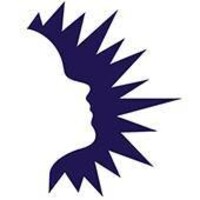 Dallas Independent School District logo - Similar company to AVANCE-North Texas