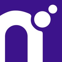 Netrix logo - Similar company to Pulseheberg