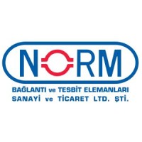 NORM FIXING logo - Similar company to Darhan Yapi Ve Endüstri̇ San Ti̇c Aş