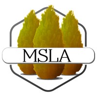 Moorilla Studio logo - Similar company to Urban Edge Landscape Architects