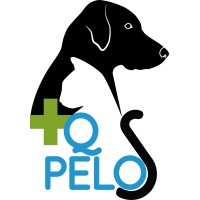 Peluquería Canina + Q Pelos logo - Similar company to Pawsa
