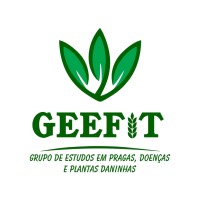 GEEFIT logo - Similar company to Safra Jr. Consultoria Agrícola