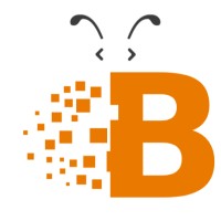 Bees Web Solutions logo - Similar company to Sbv Technologies Pvt Ltd