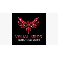 Visual Birds Studio Pvt. Ltd. logo - Similar company to After Studios