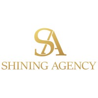 Shining Agency logo - Similar company to Pallwise