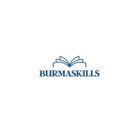 Burmaskills logo - Similar company to Studio Flux