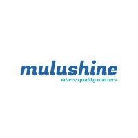mulushine logo - Similar company to Gizuf Digital