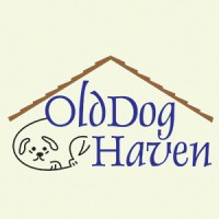 Old Dog Haven logo - Similar company to Seattle Area Feline Rescue