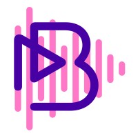 Bauer Media Audio – Norge logo - Similar company to Nopa