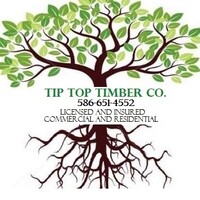 Tip Top Timber Co. logo - Similar company to Tip Top Tree Service Ltd
