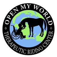 OPEN MY WORLD THERAPEUTIC RIDING CENTER INC logo - Similar company to Vyyo