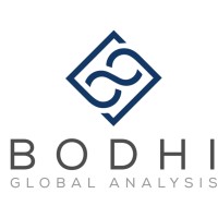 Bodhi Global Analysis logo - Similar company to Coar Global