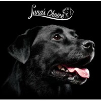 Luna’s Choice Norge logo - Similar company to Optiguard