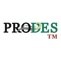 PRODES Tasarım Mühendislik Sanayi ve Ticaret Ltd. Şti. logo - Similar company to Altaş Mühendislik