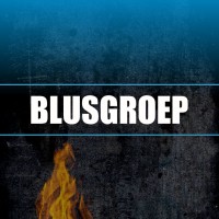 BlusGroep B.V. logo - Similar company to Pyrock B.V.