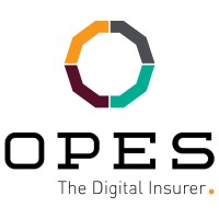 OPES Insurance logo - Similar company to Inso