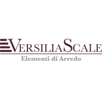 VERSILIA SCALE logo - Similar company to Scale Dc