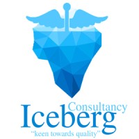 Iceberg Consultancy Services logo - Similar company to Reliance Animation Academy
