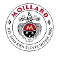 Maison Moillard logo - Similar company to Château De Chamirey