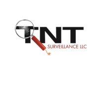 TNT SURVEILLANCE LLC logo - Similar company to Smb Digital Manager