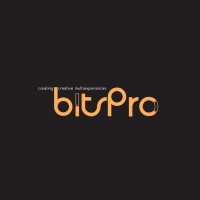 BitsPro logo - Similar company to Bitpro As