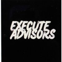 Execute Advisors logo - Similar company to Mini Studio