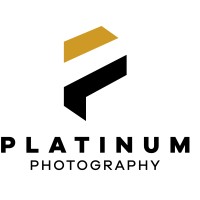 Platinum Studios Exclusive logo - Similar company to Platinum Group Mw