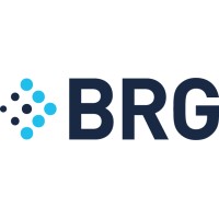 BRG logo - Similar company to Arch + Beam