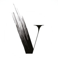 Vazquez & Partner logo - Similar company to Fruver Ag