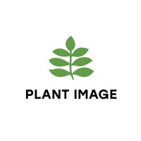 Plant Image logo - Similar company to Origin Pet Gear Manufactory