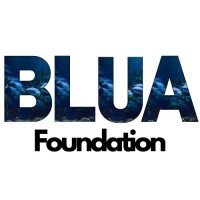 Blua Foundation logo - Similar company to James Caird Partners
