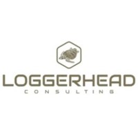 Loggerhead Consulting logo - Similar company to Syntropy Ventures