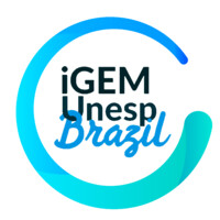 iGEM Unesp Brazil logo - Similar company to Ecocar Unicamp