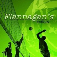 Flannagans Dublin logo - Similar company to Immersive.Is
