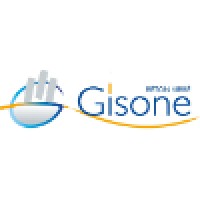 Groupe GISONE logo - Similar company to Edgard Tp