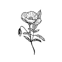 Half Moon Blooms logo - Similar company to Orchidya&Co Ltd