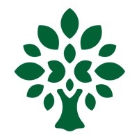 natural mojo logo - Similar company to Fuse.Space
