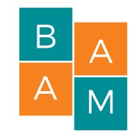 Bosphorus Center for Asian Studies (BAAM) logo - Similar company to Global Political Trends Center